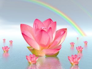 meditation flower
