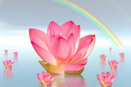 meditation flower
