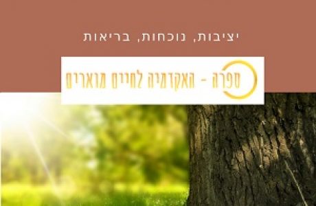 טכניקות קרקוע