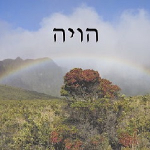 הויה