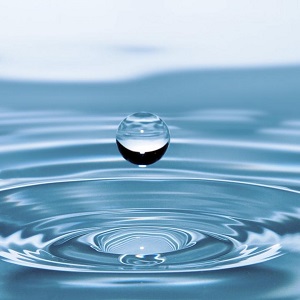 פודקאסט גלגל האותיות 300